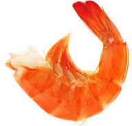 Headless Shrimp